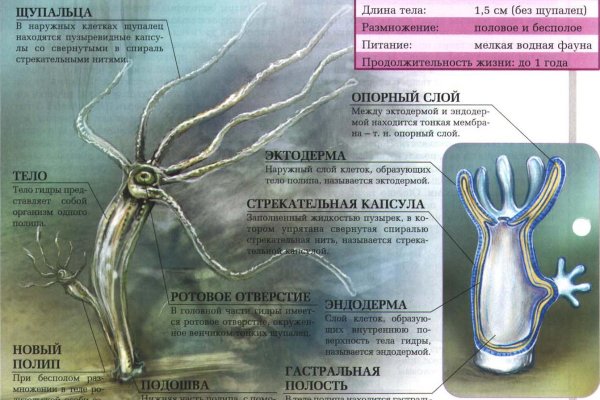 Кракен сыл ссылка