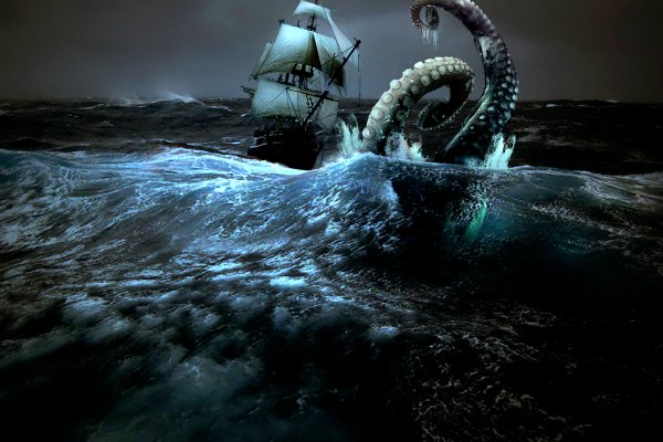 Kraken верификация