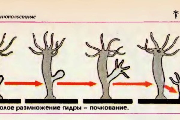 Почему не могу зайти на кракен