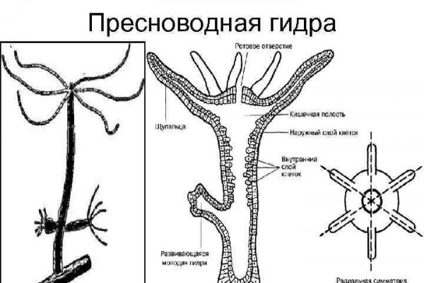 Даркнет знакомства