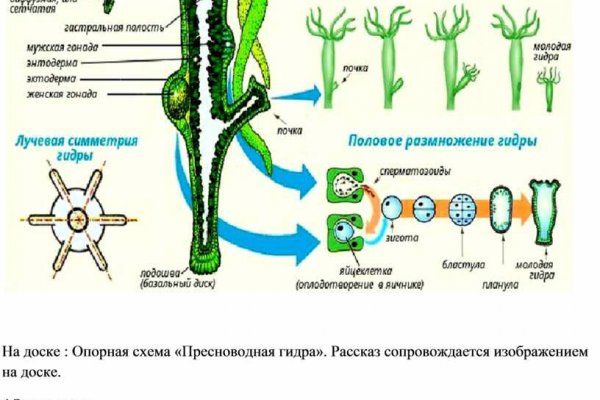 Кракен интернет магазин