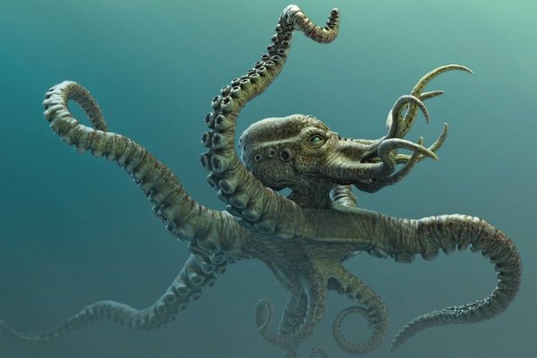 Kraken tor зеркало