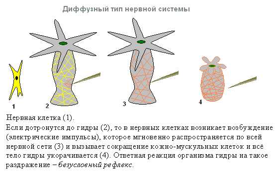 Кракен оф сайт